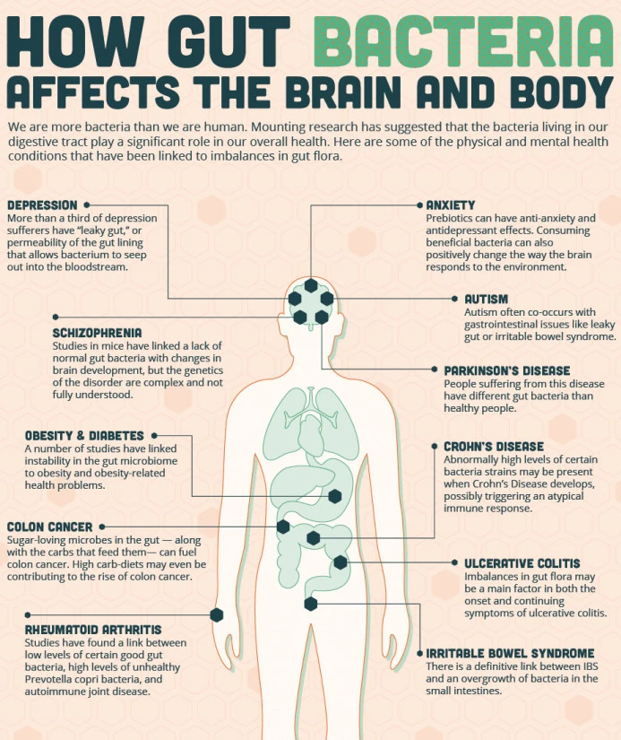 Gut Health Matters